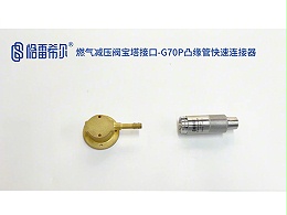 燃气减压阀宝塔接口-G70P凸缘管快速连接器