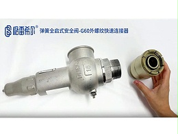 弹簧全启式安全阀-G60外螺纹快速连接器