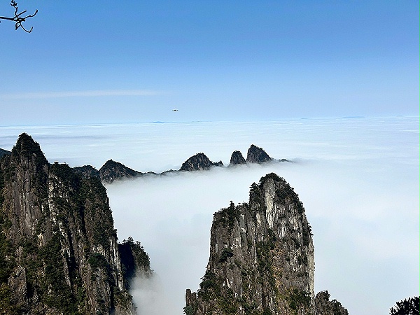 廿载同心，山水同行 | 格雷希尔·郴州团建凝聚团队力量